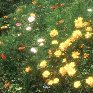 小仙儿骚麦在线
